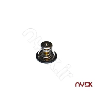 ترموستات جک S5